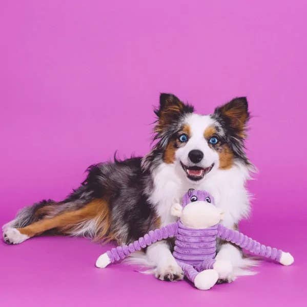 ZippyPaws Spencer Crinkle Monkey Purple Small