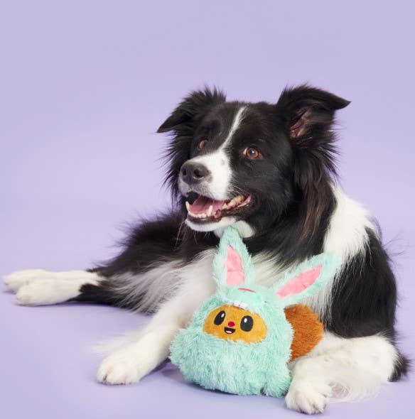 BARK Buddy The Nutty Bunny Easter Plush Dog Toy