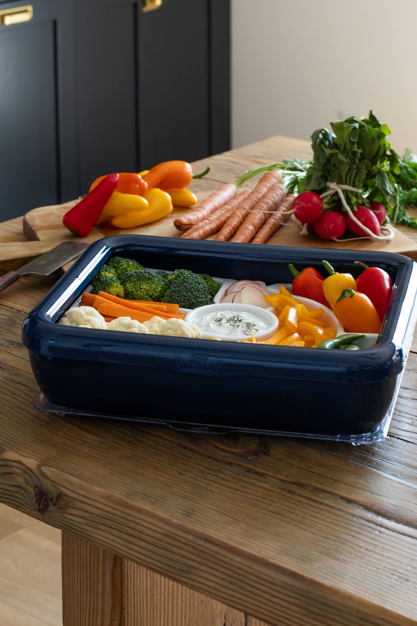 PREORDER Fancy Panz® Accessory - Charcuterie / Veggie Tray Insert