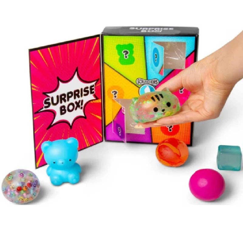 Scrunchems Surprise Box – 6 Compartment Sensory Squishy Toy PREORDER