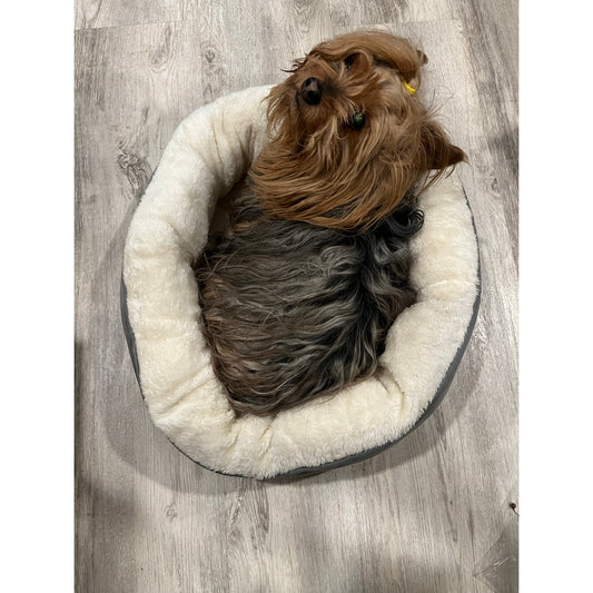 Love's cabin Round Donut Cat & Dog Cushion Bed, 20in Pet Bed - dog not included