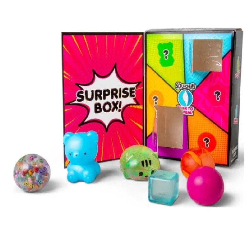 Scrunchems Surprise Box – 6 Compartment Sensory Squishy Toy PREORDER
