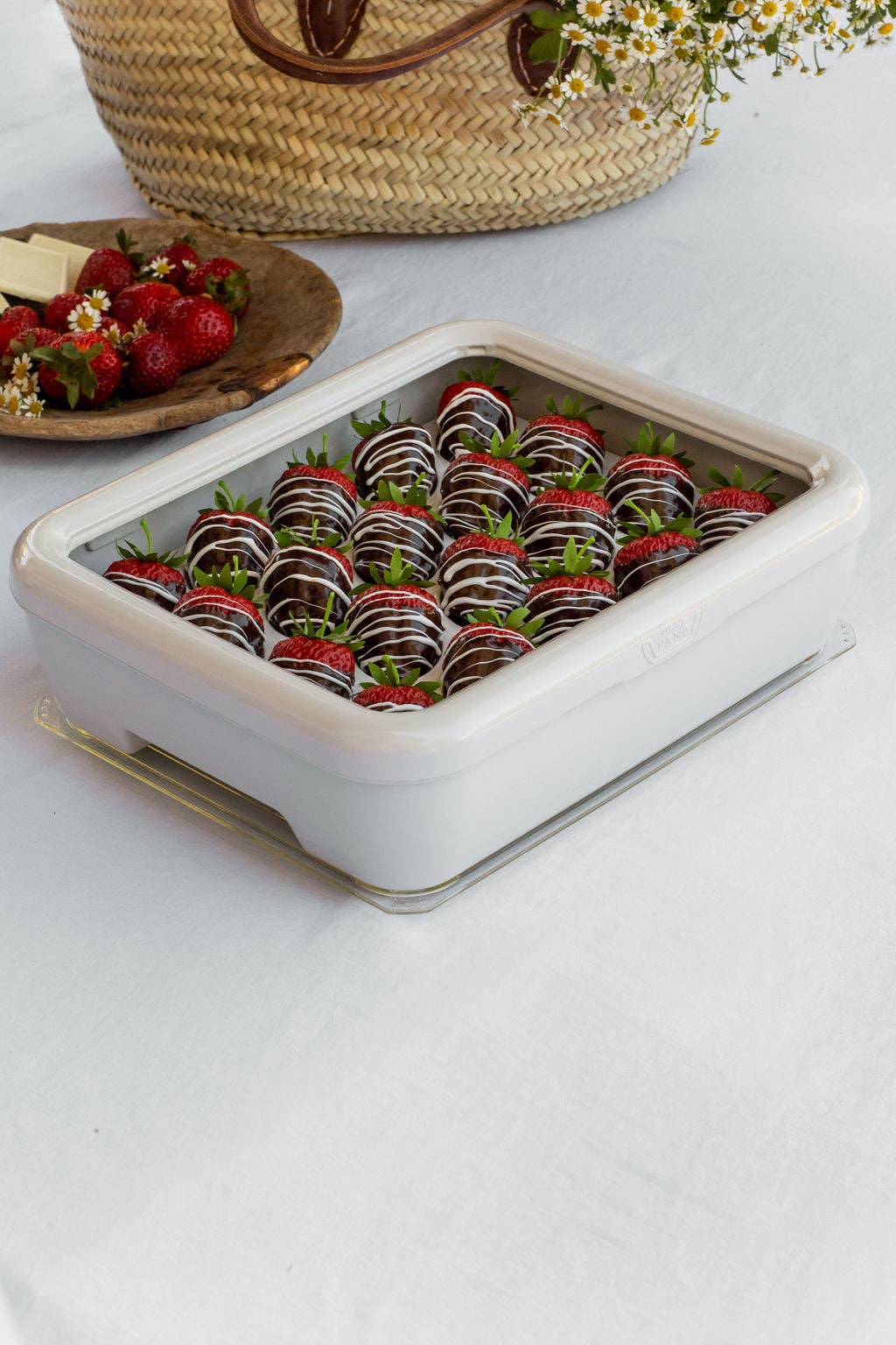 PREORDER Fancy Panz® Accessory - Deviled Egg Tray Insert